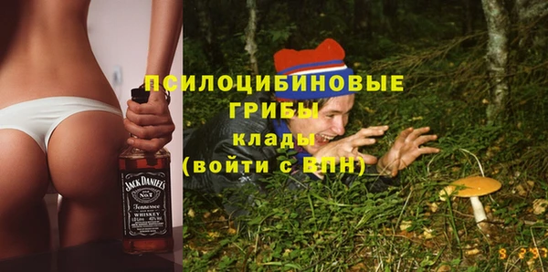 Альфа ПВП Снежногорск