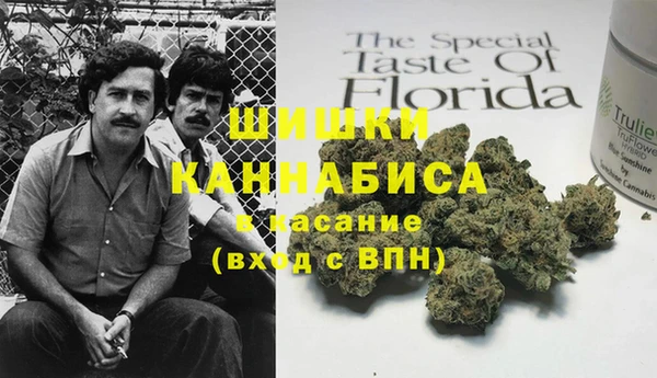 PSILOCYBIN Белокуриха