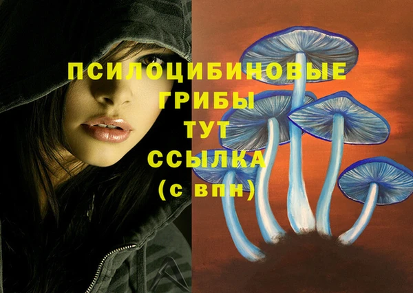 круглые Беломорск